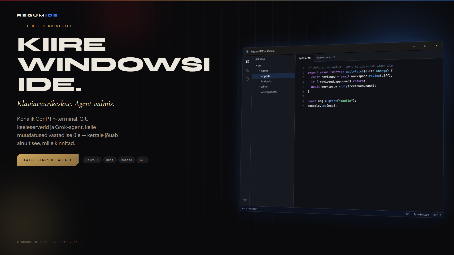RegumIDE — Kood, terminal ja Git ühes Windowsi töökeskkonnas.