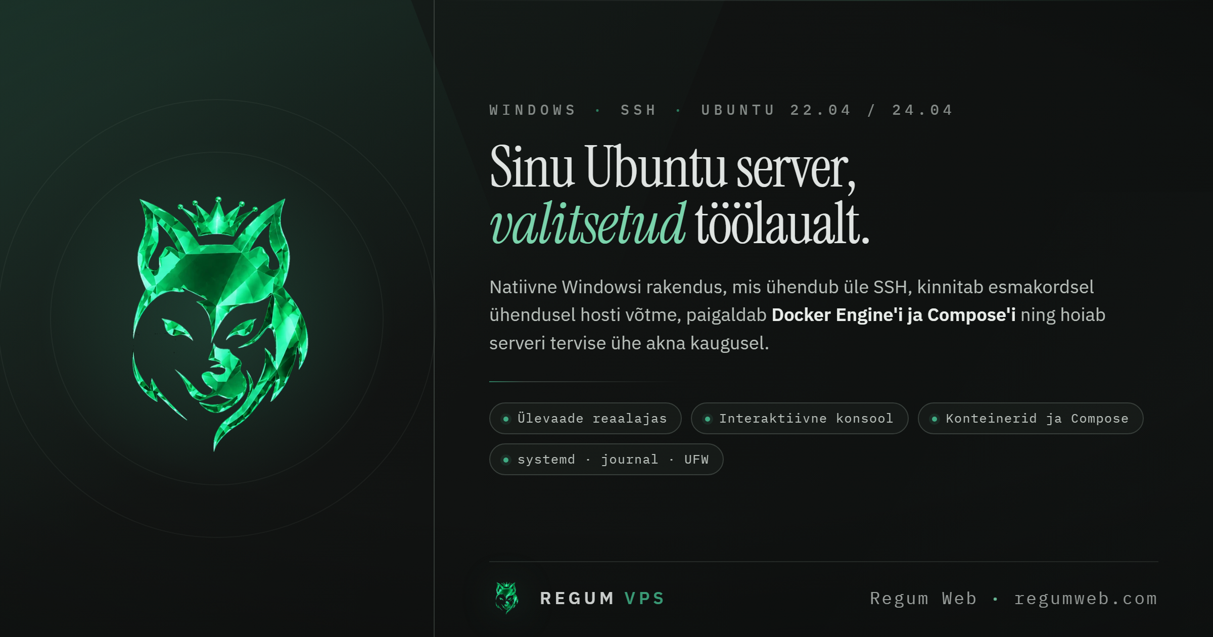 RegumVPS — Sinu serverid, selgelt ühendatud.