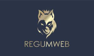 Picture of RegumWeb OÜ